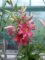 Foto: Dr. Peter Müller